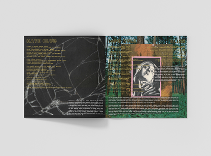 Pipe Bomb - Hell Hole - Deluxe 12" LP (Includes Bonus Track)